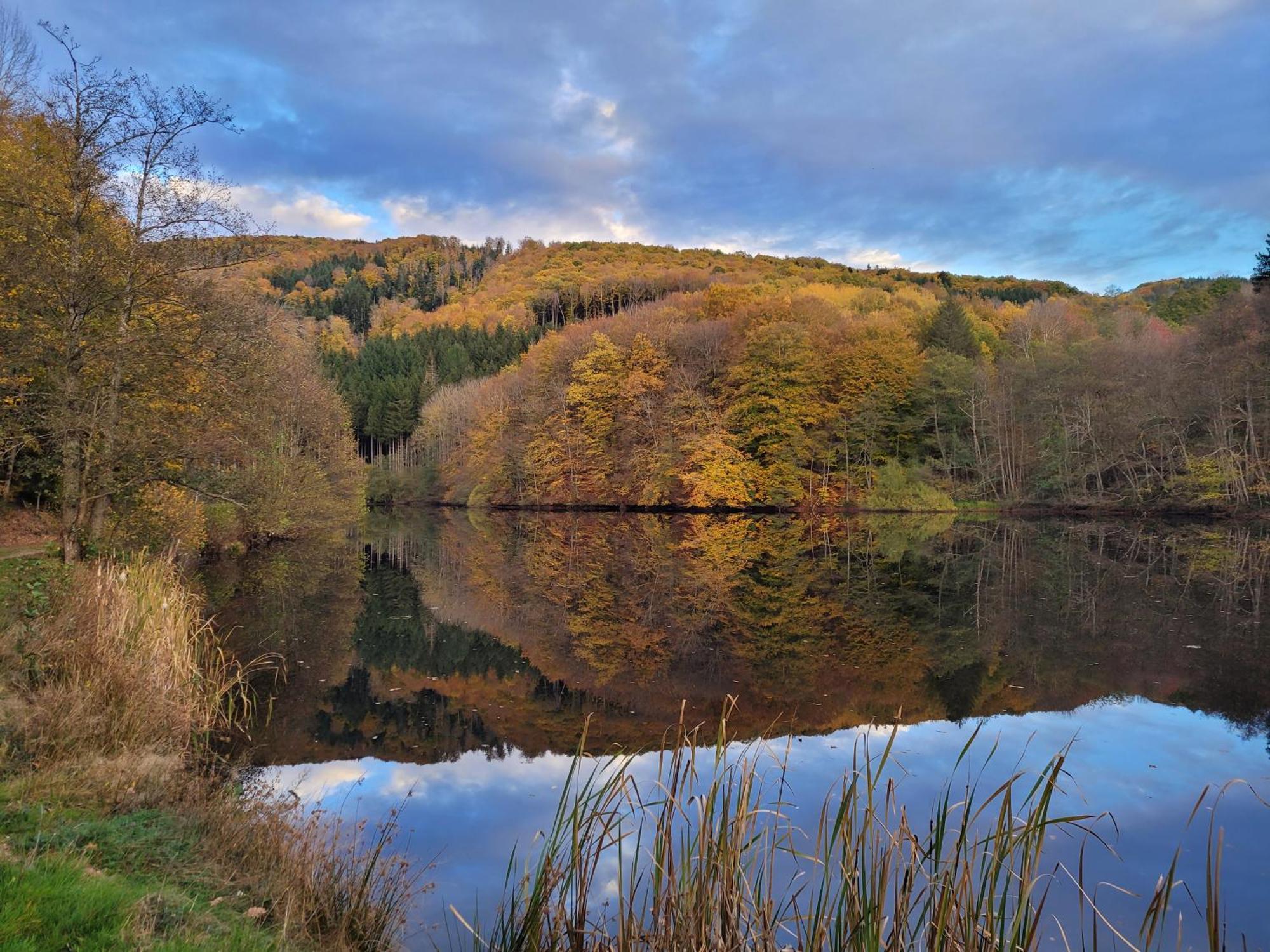 Le Lac Des Moines Condat  Buitenkant foto