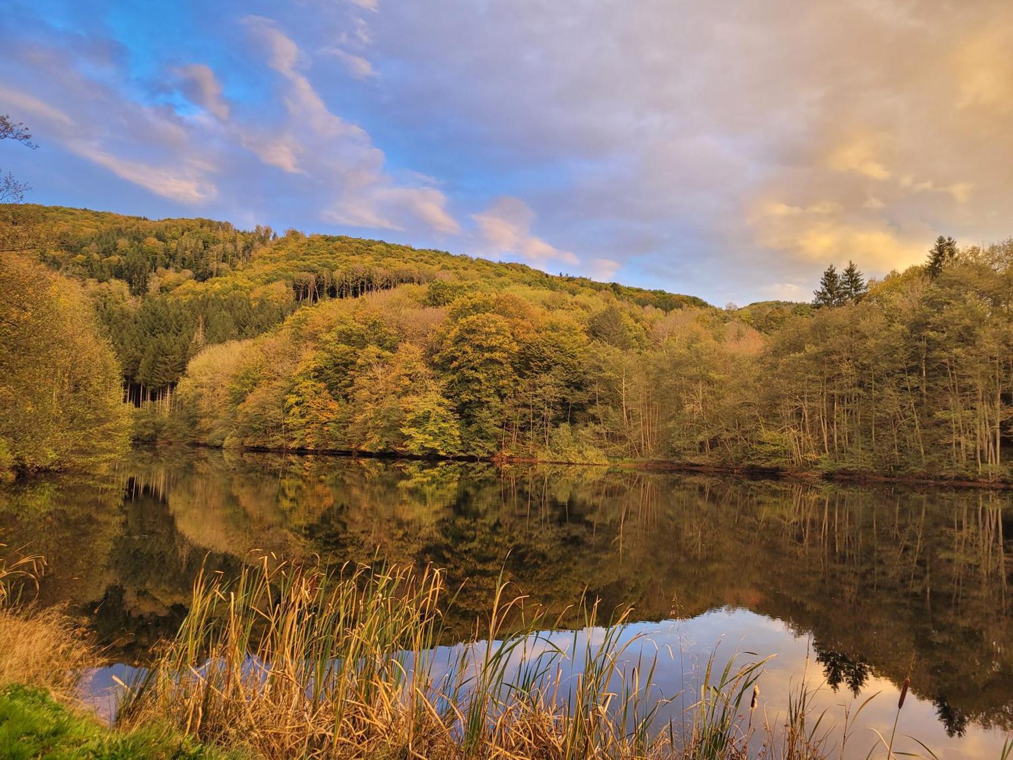 Le Lac Des Moines Condat  Buitenkant foto