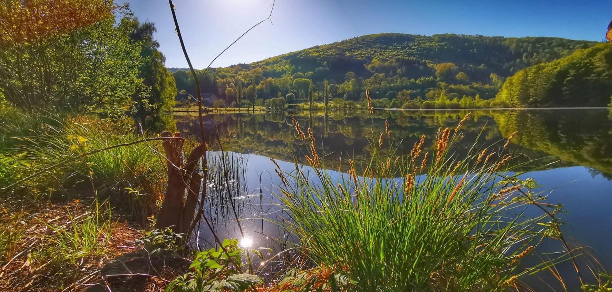Le Lac Des Moines Condat  Buitenkant foto